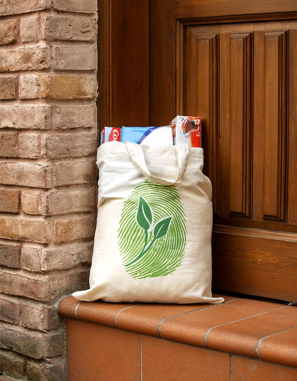 Plant White 2