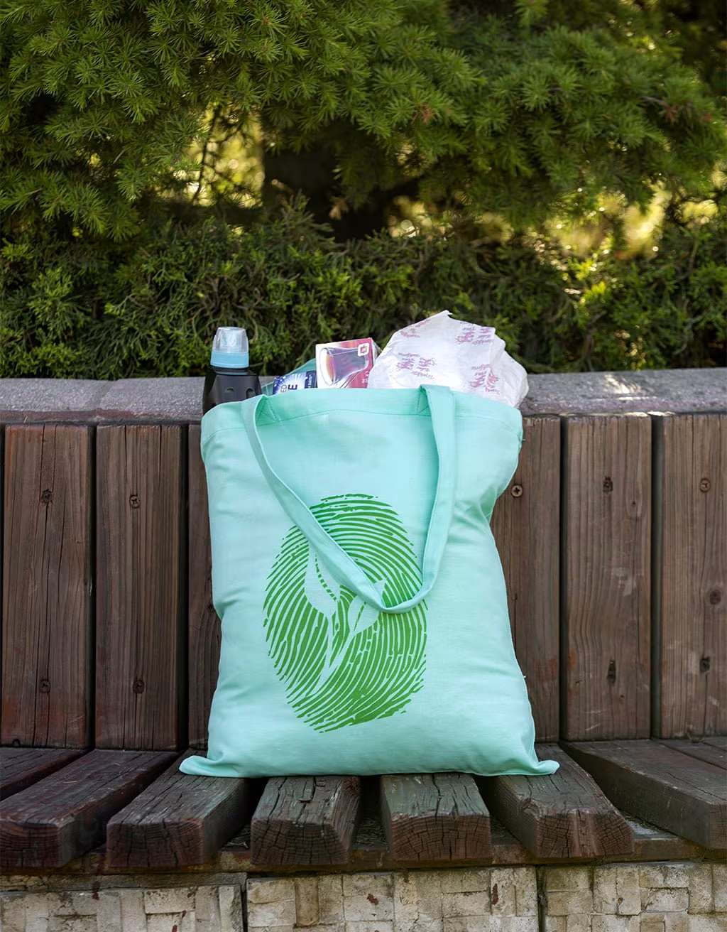 Sapling Green 3